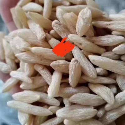 麦冬根整车配送 大颗粒干麦冬散装批发 基地现货图2