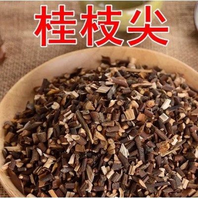 桂枝中药材柳桂供应吴先彬厂家直售 品质优选图4