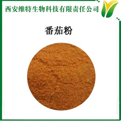 番茄粉 西红柿粉 洋柿子原粉 Solanum lycopersicum L.图3