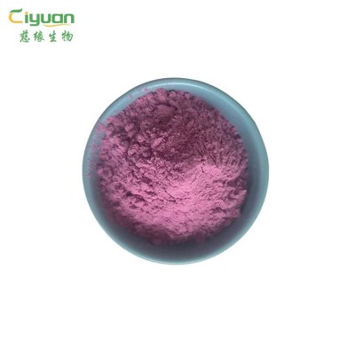 水溶桑葚粉桑葚提取物SC备案固体饮料原料１kg/包可商检慈缘工厂图2
