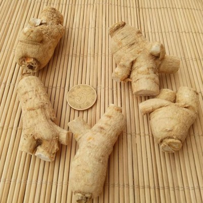 东北西洋参段粒头圆粒可软质打粉花旗参粒段500克 供应货源图2