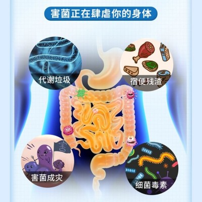 水溶肠道活性益生菌oem代加工 康乐君益生元冻干粉贴牌定制图5