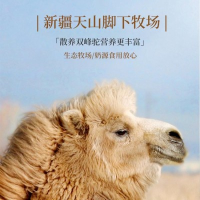 益生菌驼奶蛋白粉代加工 蛋白质粉贴牌 康乐君工厂包工包料生产图3