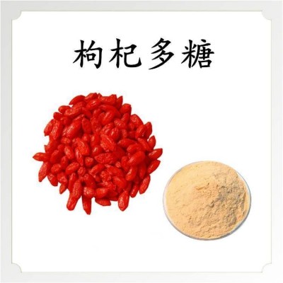 枸杞多糖 水溶粉末斯诺特生物 固体饮料 压片糖果可造粒图2