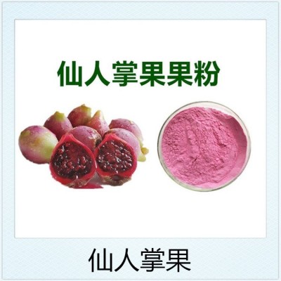 沙棘果粉 斯诺特水溶固体饮料压片糖果 代餐粉原料成品代工图3