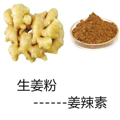 当归粉 水溶可定制固体饮料 斯诺特生物喷雾干燥浓缩图4