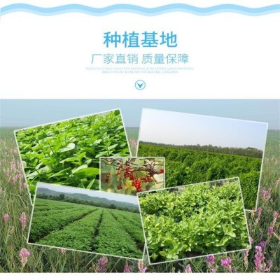 桑葚粉 花青素植物萃取 水溶斯诺特浓缩喷雾干燥图5