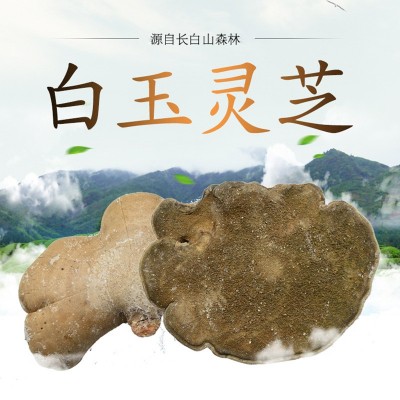 长白山白玉灵芝东北白灵芝 仿野生灵芝紫灵芝片白灵芝图2