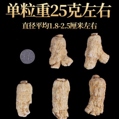 产地直发 西洋参段个 花旗参短支 粒头 可切片 量大从优 散装批发图3