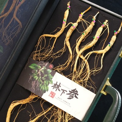 长白山林下人参45公分高档礼盒送礼整根带须山参年货礼品展会促销图3