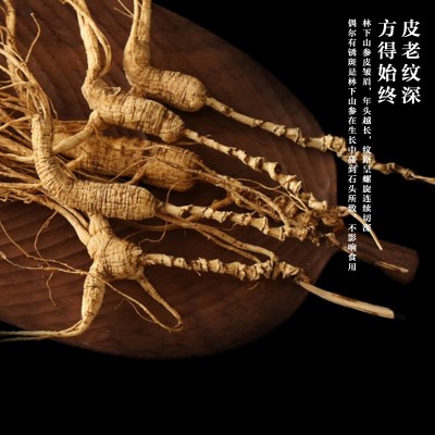 长白山林下山参10g3支装10年以上整枝林下山参礼盒滋补品干参送礼图4