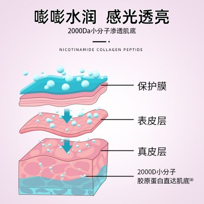 亮光小分子肽30ml袋装烟酰胺胶原蛋白饮养颜弹性胶原蛋白肽口服液图3