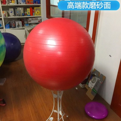 璟康供应JK-BSQ康复训练巴氏球成人儿童感统训练大龙球防爆按摩球图3