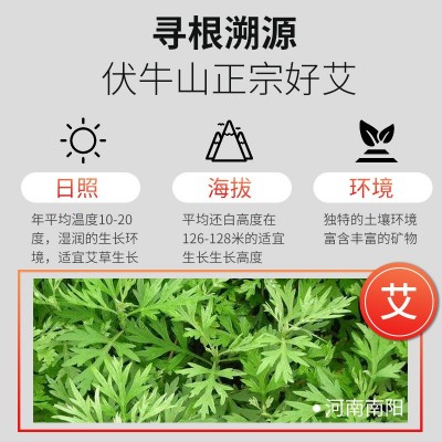 艾柱条批发 陈年男性艾条装手工艾炷 艾草艾灸艾绒条真阳艾艾条图4