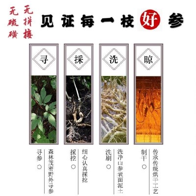 原产地直发长白山林下参 林下籽参15-25年野山参直销批发图2