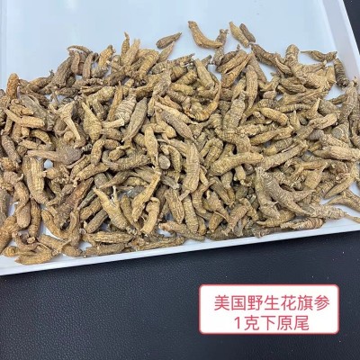 现货野生花旗参1克规格4-5克规格参段西洋参片可切片50克批发代发图3
