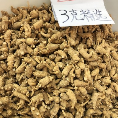 花旗参山东西洋参10克-1克以下各规格原尾颗粒花旗参参段批发图2