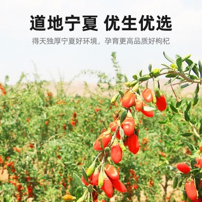 鲜枸杞原浆260mL家庭装宁夏鲜果枸杞榨汁中宁枸杞原汁大包装批发图3