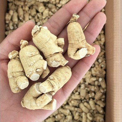 东北特产长白山花旗参段西洋参粒头西洋参批发250克/袋 西洋参段图3