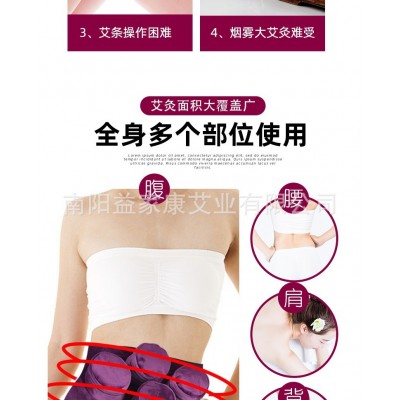 福缘艾 无烟四联艾灸衣 温灸仪布袋灸艾灸宝随身灸地摊展销会会销图2