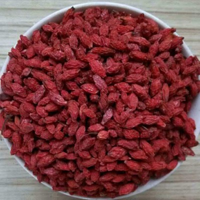 枸杞子 500g散装出售 红枸杞花果茶 批发产地枸杞子一手货源图2