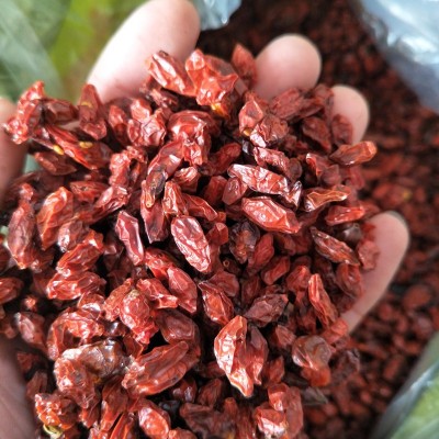 枸杞子 500g散装出售 红枸杞花果茶 批发产地枸杞子一手货源图3