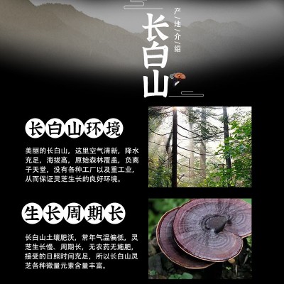 长白山灵芝礼盒 批发东北特产过节送礼泡酒林芝礼盒装整枝灵芝图3