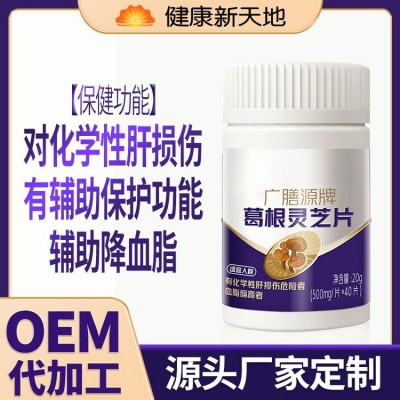 雅博人葛根灵芝片熬夜应酬护肝胶囊蓝帽保健品现货一件批发图2