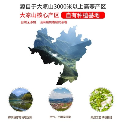 苦荞茶 黑苦荞全株茶麦香型四川大凉山 苦荞茶荞麦茶500g买二送一图3