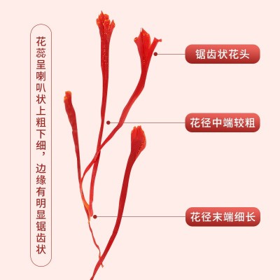 藏红花特级伊朗藏红花5克中药材散装礼盒装长丝扁丝西红花批发图5