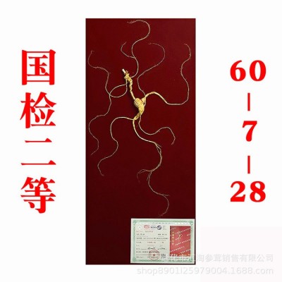 长白山野山参国检证书东北人叁移林下参人参礼盒泡酒送礼批发代理图5