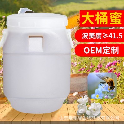 厂家批发75公斤散装大桶枣花百花洋槐天然桶装蜂蜜农家自产蜂蜜商