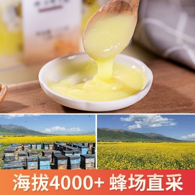 养蜂伯伯 蜂王浆批发新鲜蜂皇浆春浆原浆鲜活纯正天然蜂王浆500克图3