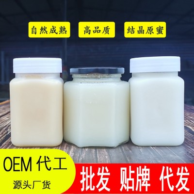 云南雪蜜苕子蜜结晶土蜂蜜散装龙眼荔枝百花枸杞蜂蜜批发代发图1