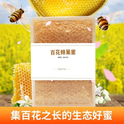 蜂巢蜜百花荆条蜂巢蜜500g批发散装土蜂蜜批发蜂蜜贴牌厂家蜂巢蜜图3