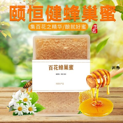 蜂巢蜜百花荆条蜂巢蜜500g批发散装土蜂蜜批发蜂蜜贴牌厂家蜂巢蜜图2