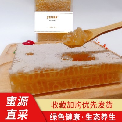 蜂巢蜜百花荆条蜂巢蜜500g批发散装土蜂蜜批发蜂蜜贴牌厂家蜂巢蜜图4