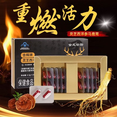 灵芝西洋参马鹿茸胶囊蓝帽保健品缓解体力疲劳男士保健品厂家批发图4