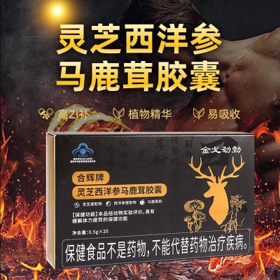 灵芝西洋参马鹿茸胶囊蓝帽保健品缓解体力疲劳男士保健品厂家批发图1