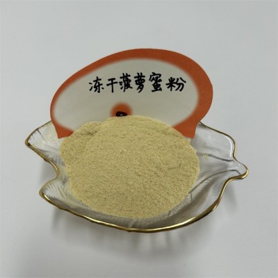 西安四叶草供应 菠萝蜜冻干粉 冻干菠萝蜜粉 500g一袋 10袋图2