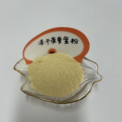 西安四叶草供应 菠萝蜜冻干粉 冻干菠萝蜜粉 500g一袋 10袋图4