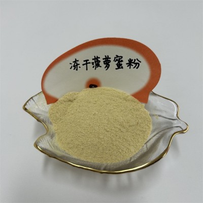 西安四叶草供应 菠萝蜜冻干粉 冻干菠萝蜜粉 500g一袋 10袋图3