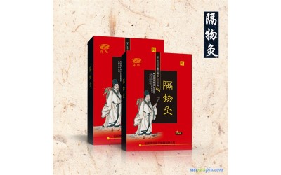 械字号隔物灸加工厂家 隔物灸 理疗隔物灸定制生产