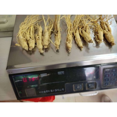 西洋参个xiyangshen产地吉林省白山市10月产新240元每公斤包邮 2kg图3