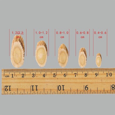 散装黄芪片中药材无硫黄芪斜切片甘肃岷县产地直销黄芪粉一件代发 2斤图4