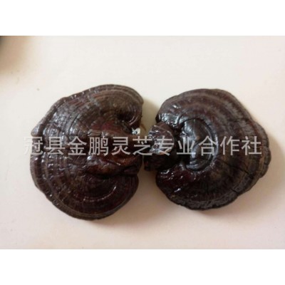 现货供应 紫灵芝 长白山紫灵芝 紫灵芝片免费切片打粉 10斤图2