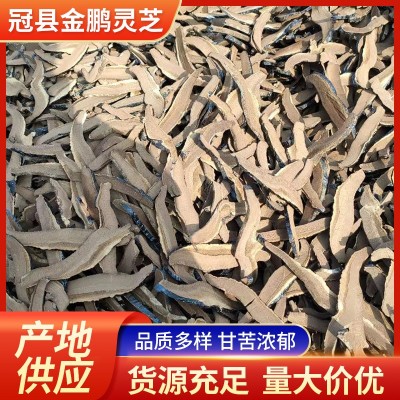 黑灵芝片 山东批发黑灵芝片灵芝系列大全 量大从优 批发现货 10公斤图3