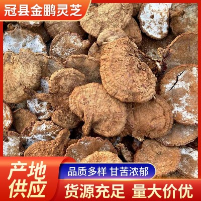 赤灵芝 山东现货 中药材批发整枝赤灵芝整朵泡酒茶煲汤赤灵芝 10斤图2