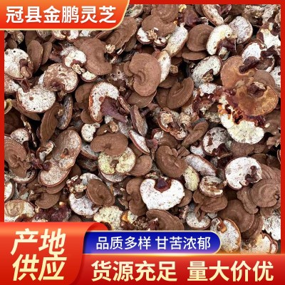赤灵芝 山东现货 中药材批发整枝赤灵芝整朵泡酒茶煲汤赤灵芝 10斤图3