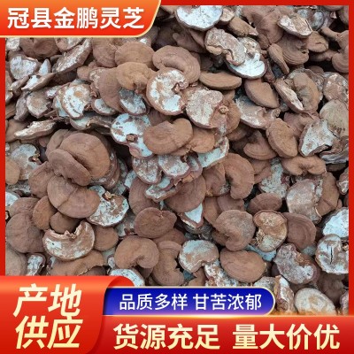 赤灵芝 山东现货 中药材批发整枝赤灵芝整朵泡酒茶煲汤赤灵芝 10斤图5